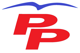 antiguo_logo_del_partido_popular