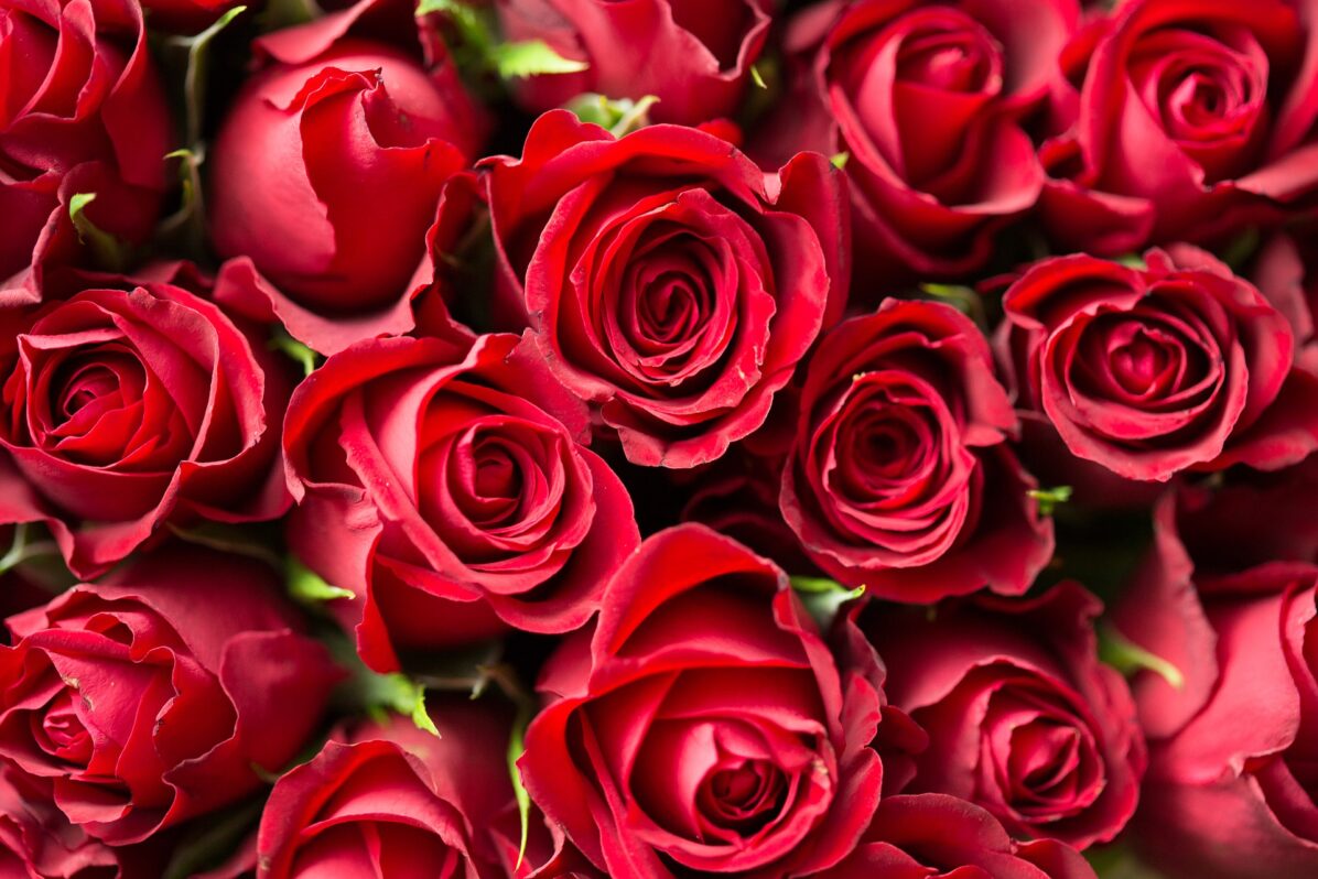 anniversary-1867767_1920