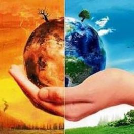 2020 Rebelión por el Clima
