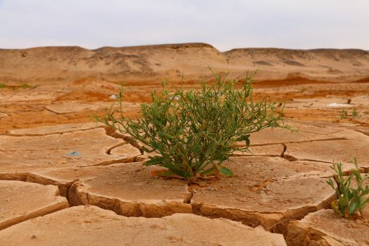 desert-4376898_1920
