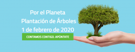 Plantación-de-árboles